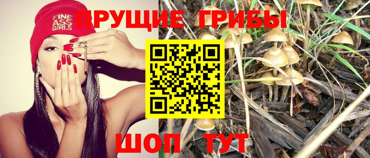 Галлюциногенные грибы Psilocybe  наркота  Новокузнецк  Галлюциногенные грибы MAGIC MUSHROOMS  Вход с VPN 